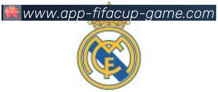 FIFA世界杯赛事下载合作伙伴